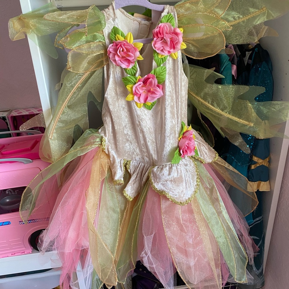 Girls fairy costume